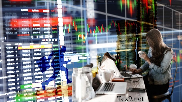 Tex9.net