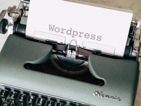 WordPress Agencies