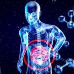 Gastrointestinal System