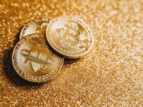 Milohacherry​‍​‌‍​‍‌​‍​‌‍​‍‌ Coin