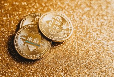 Milohacherry​‍​‌‍​‍‌​‍​‌‍​‍‌ Coin