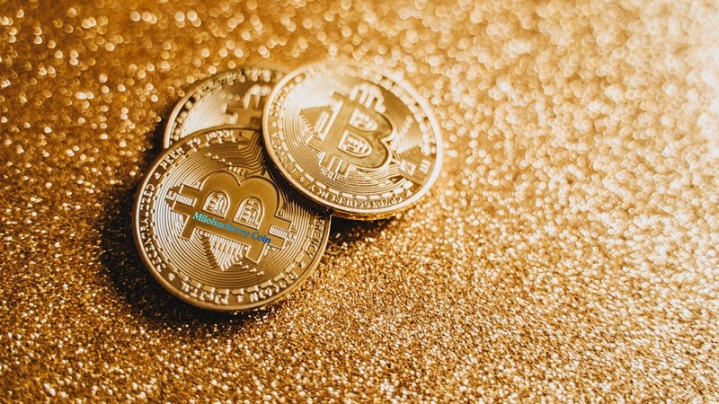 Milohacherry​‍​‌‍​‍‌​‍​‌‍​‍‌ Coin