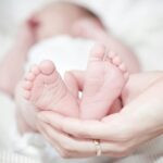 Surrogacy Motherhood